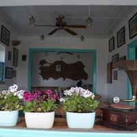 Genel Görünüm Galerisi