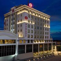 Genel Görünüm Galerisi