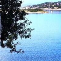 Genel Görünüm Galerisi