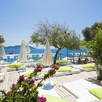 Genel Görünüm Galerisi