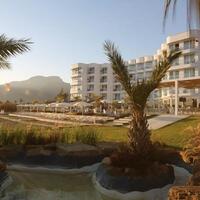 Genel Görünüm Galerisi