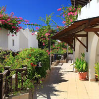 Genel Görünüm Galerisi