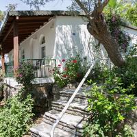 Genel Görünüm Galerisi