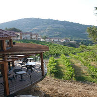 Genel Görünüm Galerisi