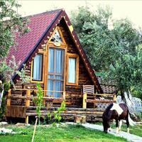 Genel Görünüm Galerisi