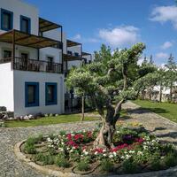 Genel Görünüm Galerisi