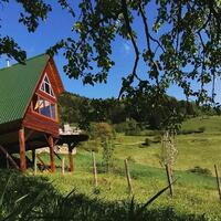 Oda Özellikleri Galerisi