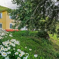 Genel Görünüm Galerisi