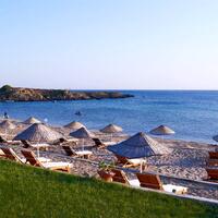 Havuz & Plaj Galerisi