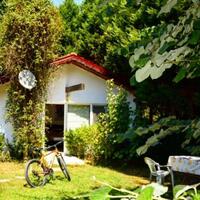 Genel Görünüm Galerisi