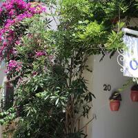 Genel Görünüm Galerisi