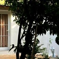 Oda Özellikleri Galerisi