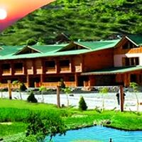 Genel Görünüm Galerisi