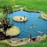 Havuz & Plaj Galerisi