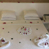 Oda Özellikleri Galerisi