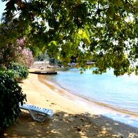 Havuz & Plaj Galerisi