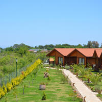 Genel Görünüm Galerisi