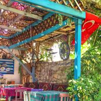 Genel Görünüm Galerisi