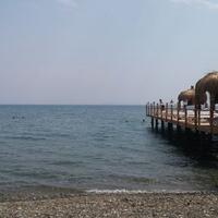 Genel Görünüm Galerisi