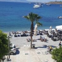 Havuz & Plaj Galerisi