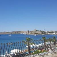 Genel Görünüm Galerisi