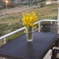 Genel Görünüm Galerisi