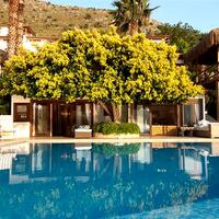 Genel Görünüm Galerisi