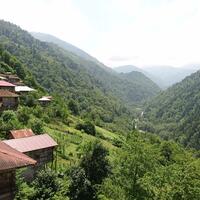 Oda Özellikleri Galerisi