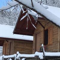 Oda Özellikleri Galerisi