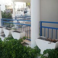 Genel Görünüm Galerisi