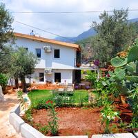 Genel Görünüm Galerisi