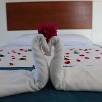 Oda Özellikleri Galerisi