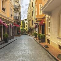 Genel Görünüm Galerisi