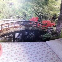 Oda Özellikleri Galerisi