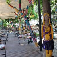 Genel Görünüm Galerisi