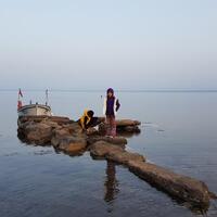 Genel Görünüm Galerisi