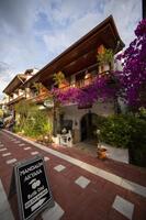 Genel Görünüm Galerisi