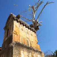 Genel Görünüm Galerisi