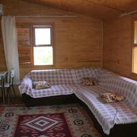 Oda Özellikleri Galerisi