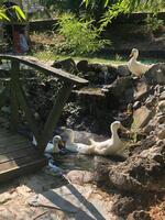 Genel Görünüm Galerisi