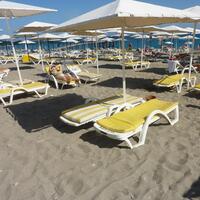 Genel Görünüm Galerisi