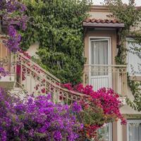 Genel Görünüm Galerisi