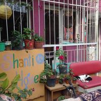 Genel Görünüm Galerisi