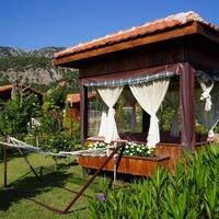 Genel Görünüm Galerisi