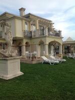 Genel Görünüm Galerisi