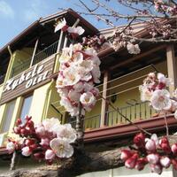 Genel Görünüm Galerisi