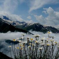 Genel Görünüm Galerisi