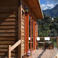 Genel Görünüm Galerisi