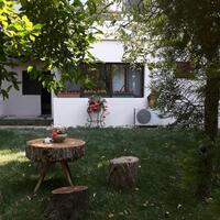 Genel Görünüm Galerisi