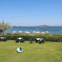 Genel Görünüm Galerisi